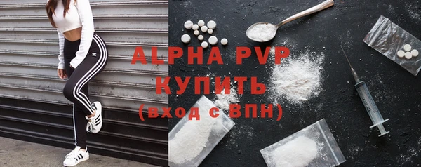 шишки Козельск