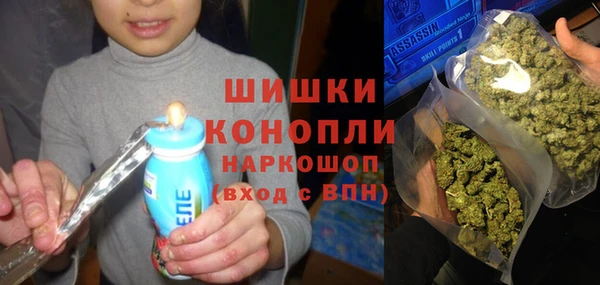 шишки Козельск
