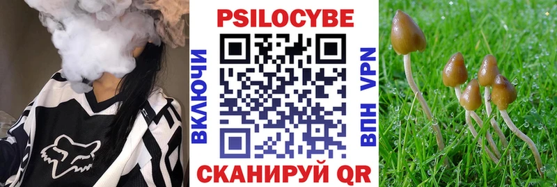 цены   Минеральные Воды  Псилоцибиновые грибы прущие грибы 